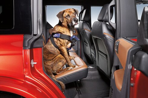 Descubre Accesorios Ford Bronco en PR, Arnés para Mascotas  Covercraft Chico